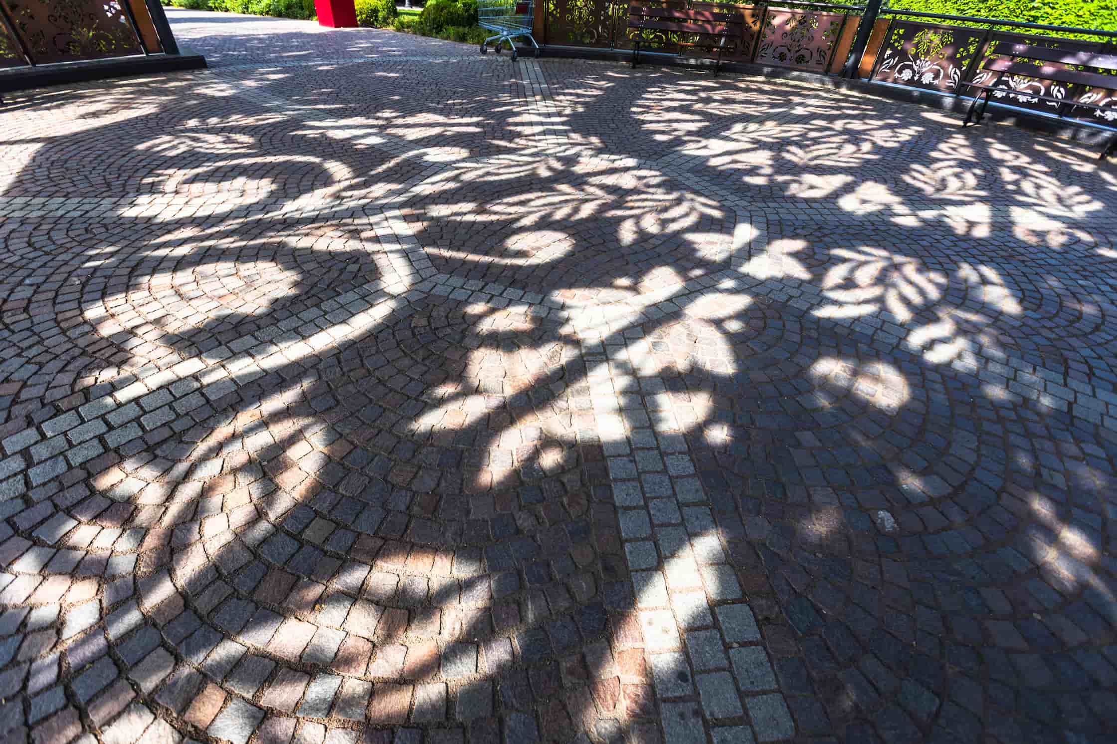 Top 10 Summer Hardscape Upgrades to Transform Your Backyard in 2025